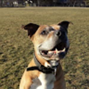 Meet your Posher, Jazzy